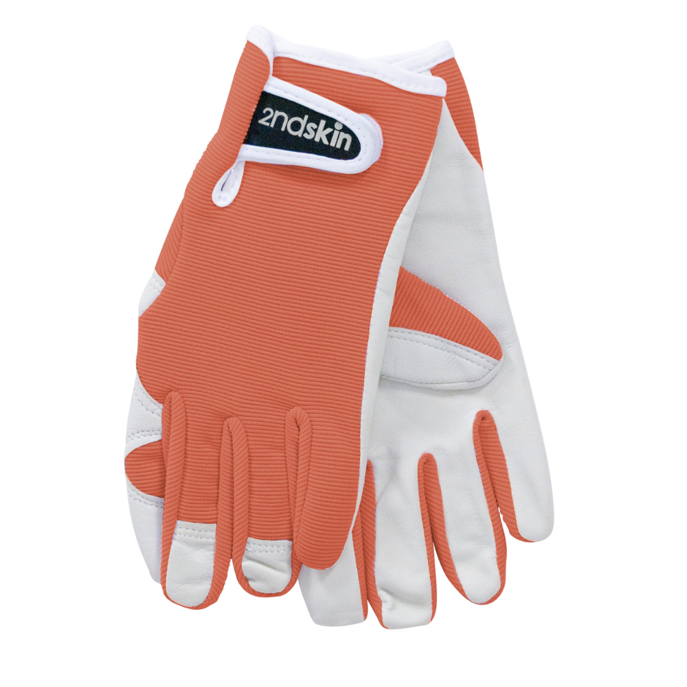 Annabelle Trends 2nd Skin Gloves Terracotta open | Merchants Homewares