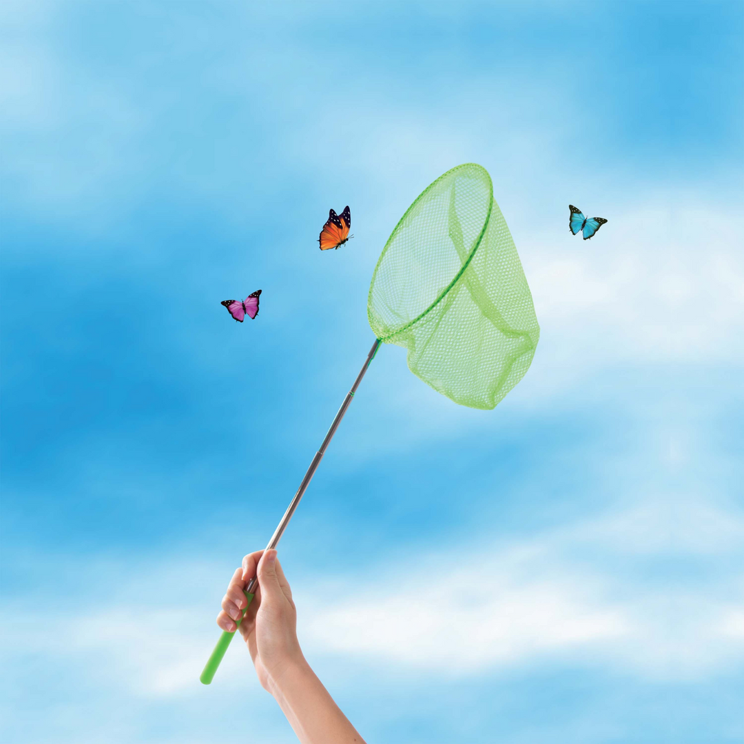 Discovery Zone Butterfly Study Set Green Lifestyle | Merchants Homewares