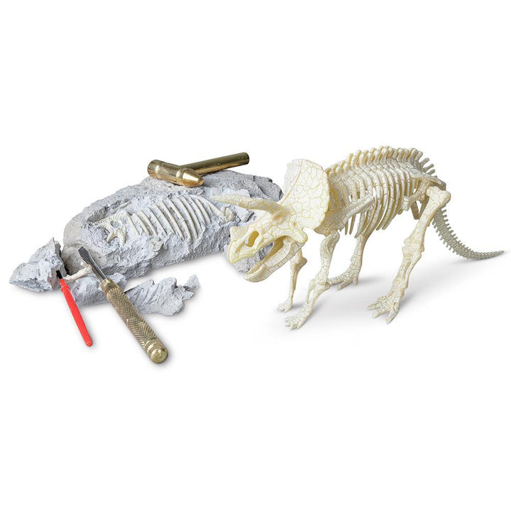 Heebie Jeebies Palaeontology Kit Triceratops | Merchants Homewares 