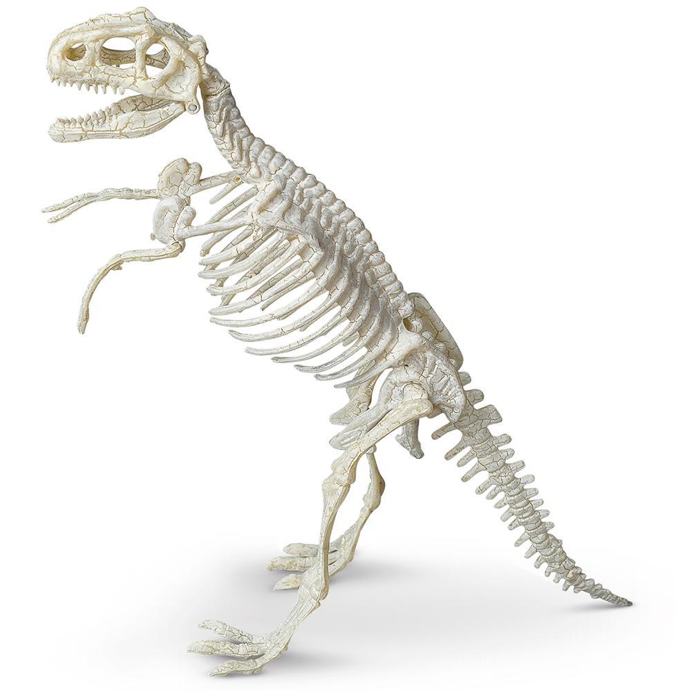 Heebie Jeebies Palaeontology Kit Tyrannosaurus | Merchants Homewares 