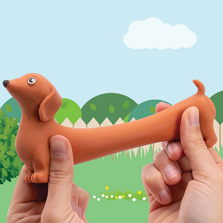 I.S Gift Stretchy Sausage Dog Lifestyle | Merchants Homewares