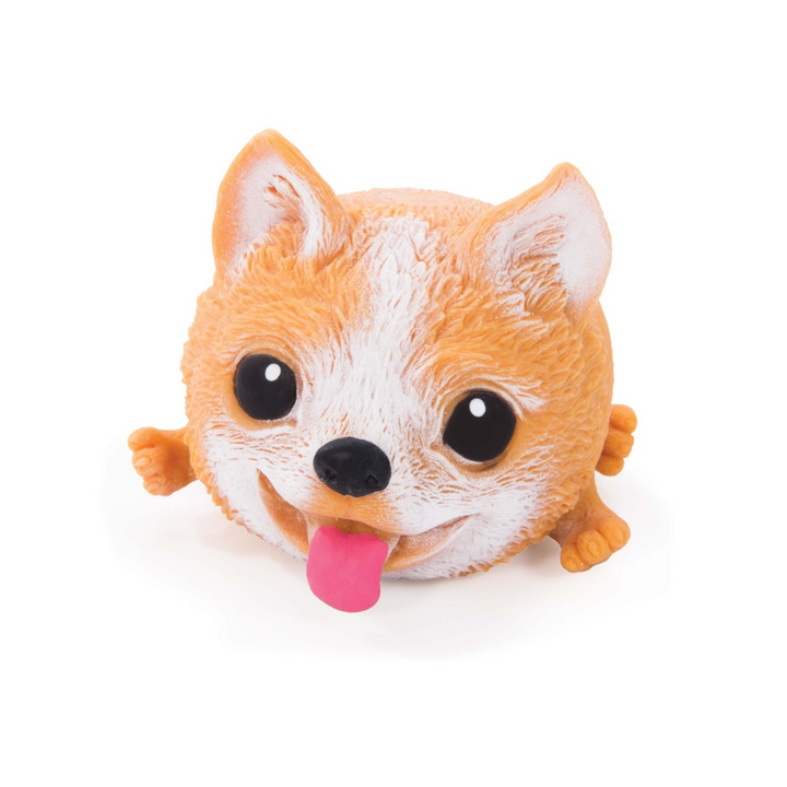 IS Albi Playful Puppies Chihuahua | Merchants Homewares