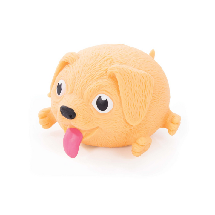 IS Albi Playful Puppies Golden Retriever | Merchants Homewares