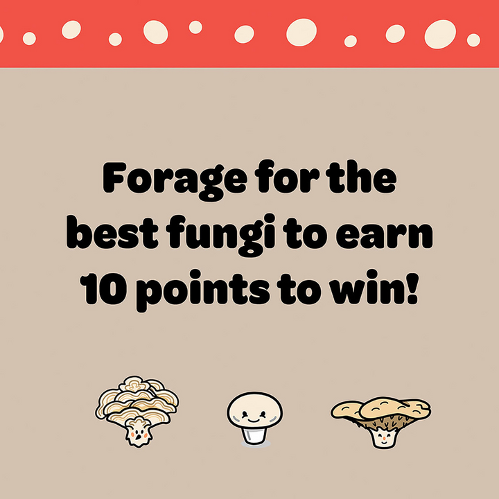 IS Albi Ridley's Funky Fungi Card Game | Merchants Homewares