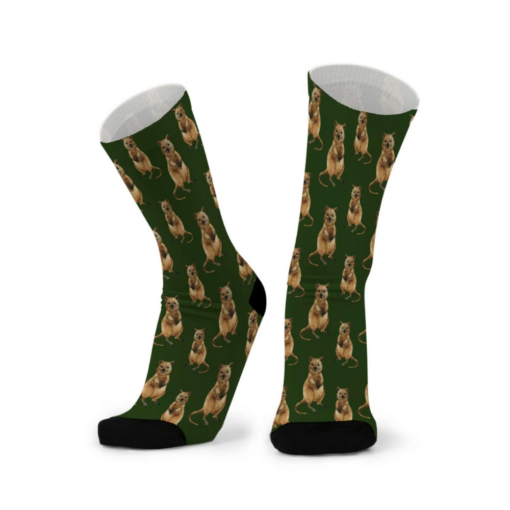 Red Fox Sox The Quokka Socks | Merchants Homewares
