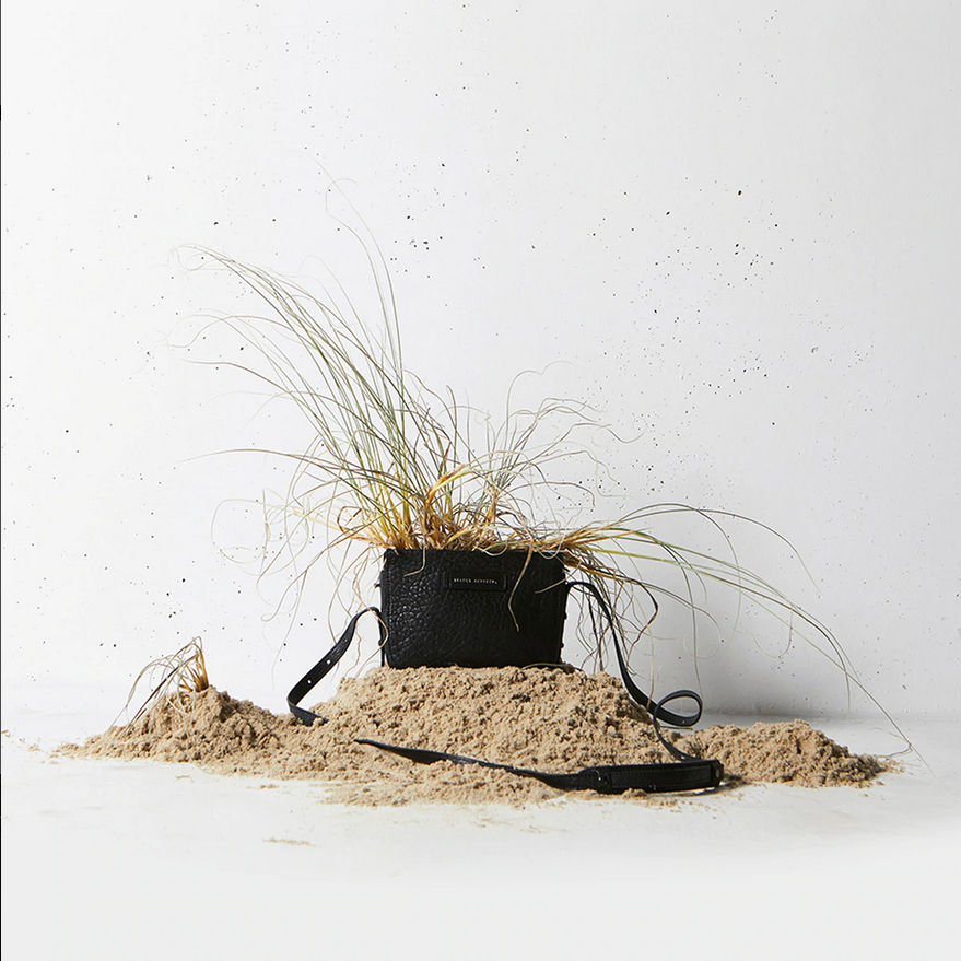 Status Anxiety In Her Command Black Bubble Displayed Sitting On Sand With Plant Growing From It | Merchants Homewares