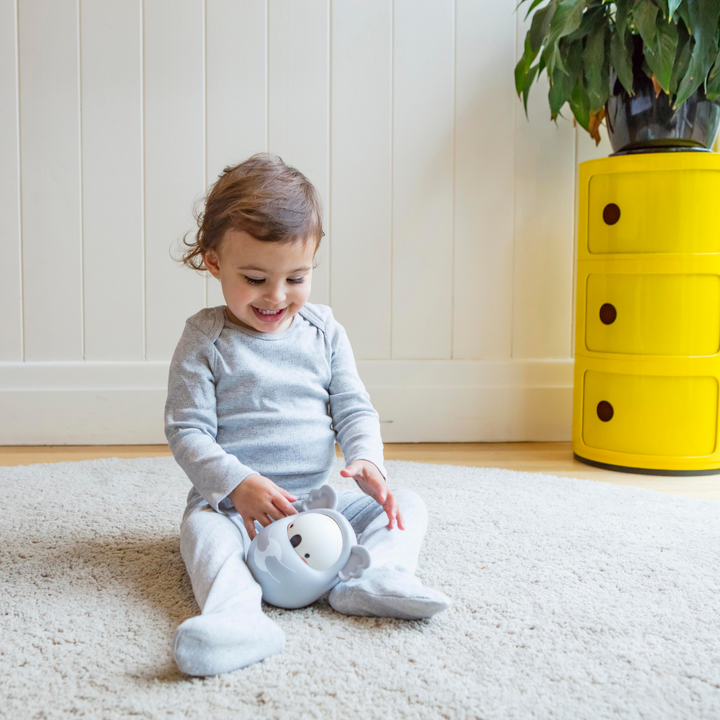 Tiger Tribe Roly Poly Koala lifestyle | Merchants Homewares